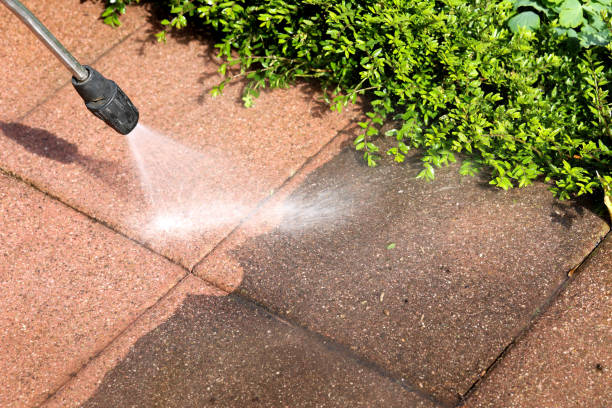 Best Pressure Washing Company Near Me  in Buffalo, WY
